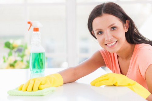 Professional cleaners in TW9 preparing a modern living room
