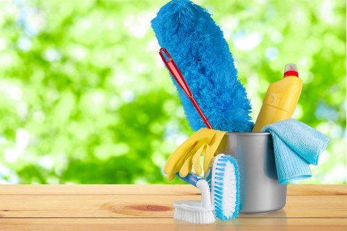 Professional domestic cleaning service in TW9 for a tidy home
