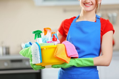 Accessibility statement illustration for Carpetcleaning Tw9 services