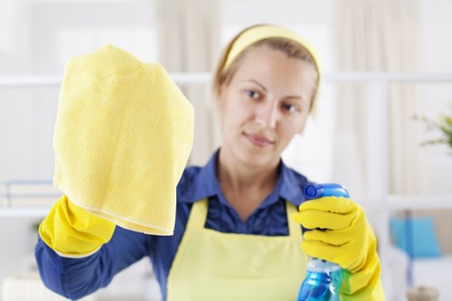 SSL-encrypted Carpetcleaning TW9 payment security and data protection