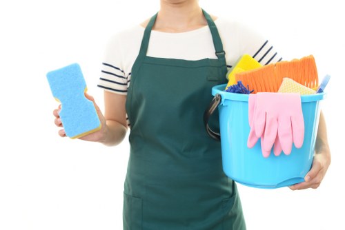 Professional oven cleaning in TW9 showing a sparkling kitchen appliance