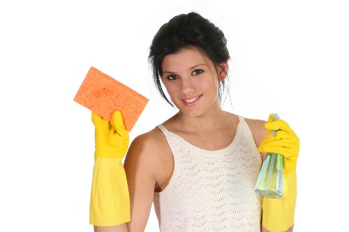 Professional house cleaning in TW9 living room