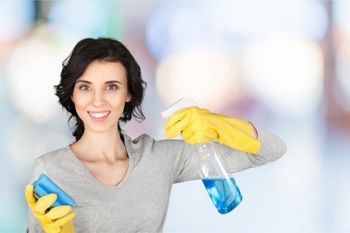 Steam cleaning carpets in a Richmond TW9 living room