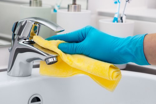 Eco-friendly home cleaning in TW9 for a family house