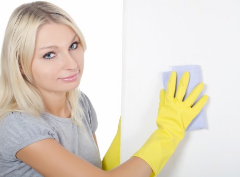 Professional TW9 window cleaning service for clean and streak-free glass