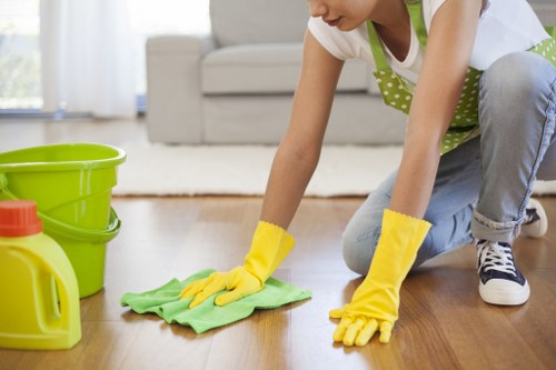 Different carpet fibers and cleaning needs in TW9